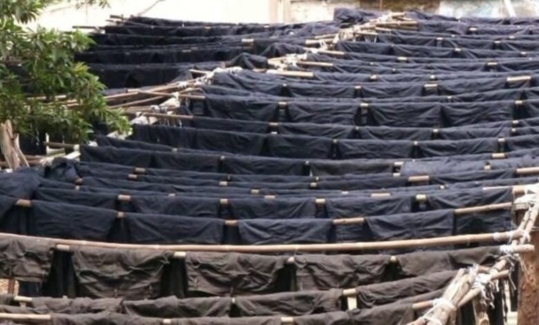 Ballari Jeans Park project gathers pace, government moves to boost global denim hub