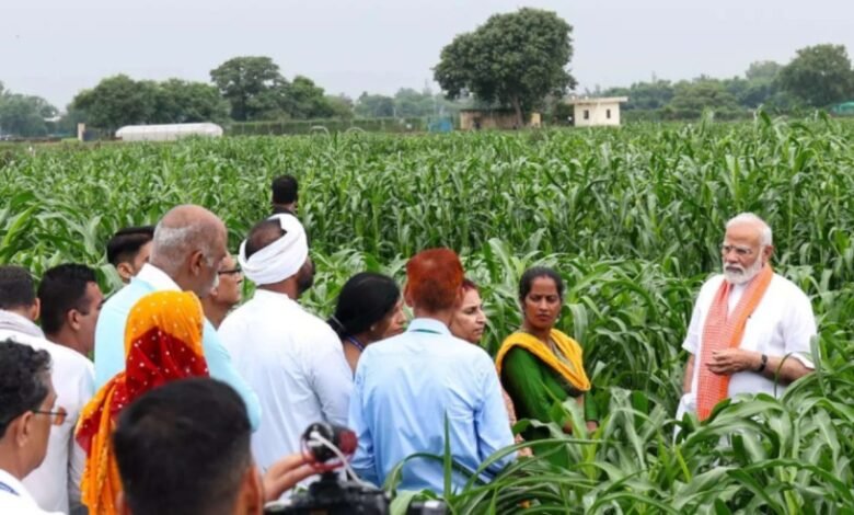 India meets 73% of fertiliser demand through domestic production in 2025: Chemicals and Fertilisers Ministry