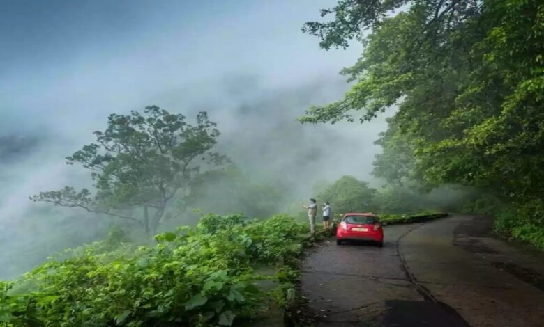 Drop Agumbe tunnel, two-lane highway plan to protect king cobra habitat and local livelihoods