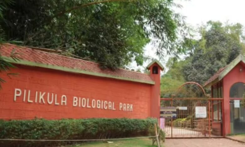 High Court slams mismanagement at Pilikula Zoo, warns of closure