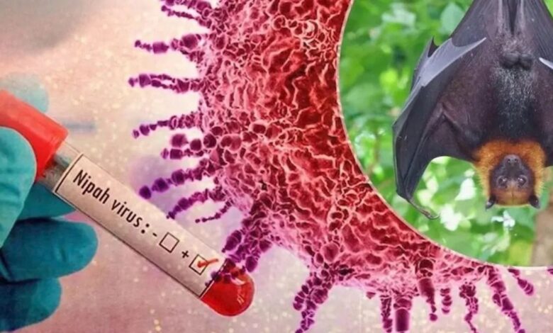 Nipah virus alert in Karnataka: Health department issues strict guidelines