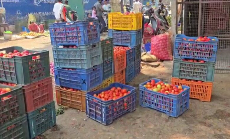 Tomato prices crash in Vijayanagara, farmers incur heavy losses