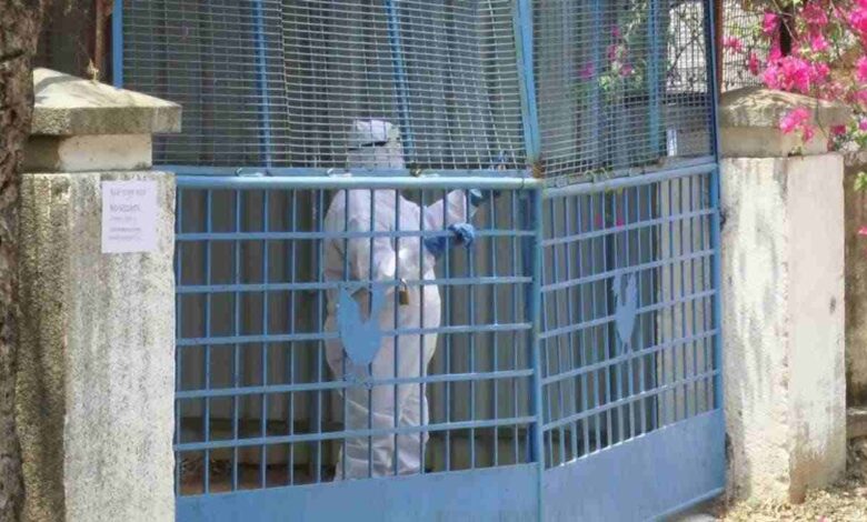 Bird flu scare intensifies in Bengaluru after H5N1 detected in Hesaraghatta farm