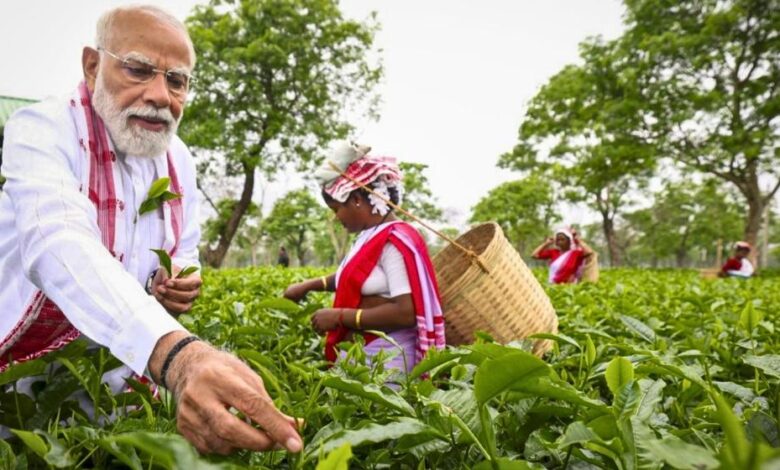 Prime Minister Modi Visits Assam Tea Garden and Joins Workers in Plucking Tea Leaves