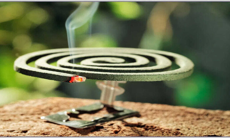 Are Mosquito Coils and Incense Sticks in Your Home Putting Your Health at Risk Experts Raise Concerns
