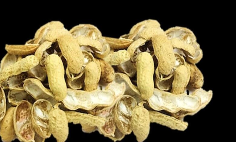 Do Not Throw Peanut Shells Away These Smart Household Uses May Surprise You