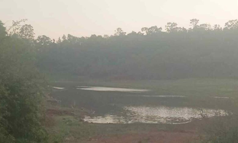 Four children drown in chikkamagaluru village, one survives