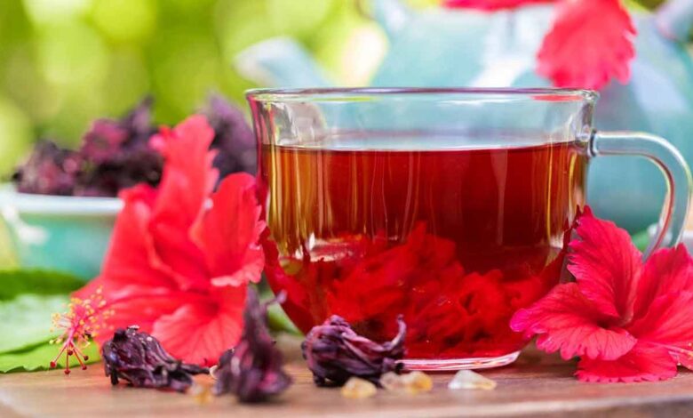 Hibiscus Tea Daily Cup for Heart Health Fat Control and Energy Boost Naturally
