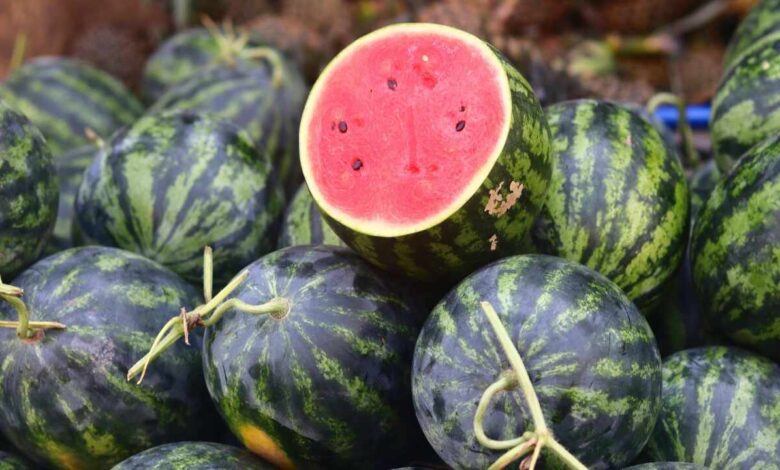 Is Watermelon Really Dangerous Doctors Clear the Truth Behind Viral Social Media Claims