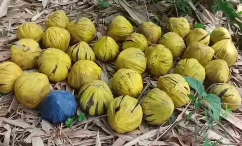 Panic in Bengal After 31 Crude Bombs Found in Garden