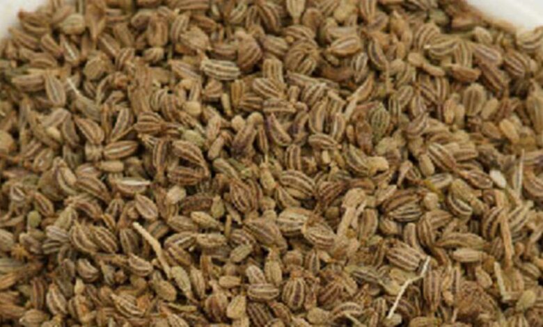 Ajwain and the Thymol Secret Behind Its Powerful Digestive Benefits