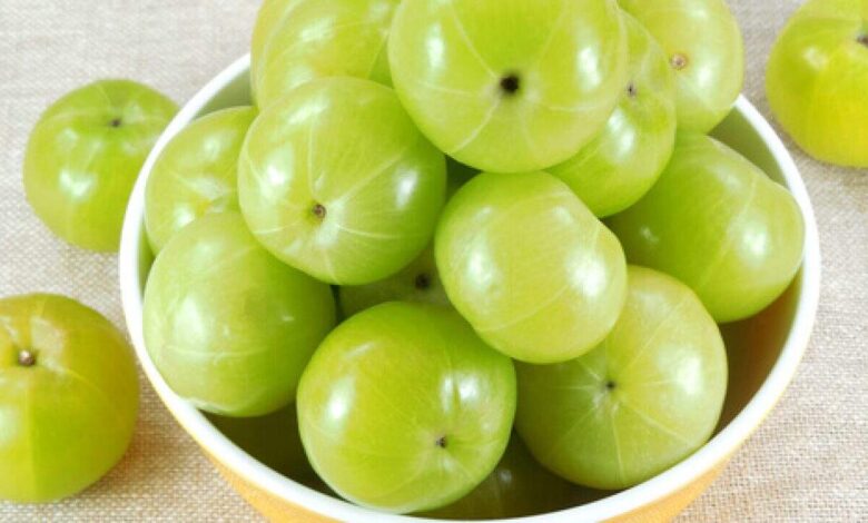 Amla Before Meals May Help Control Sugar Levels Naturally Says Health Experts