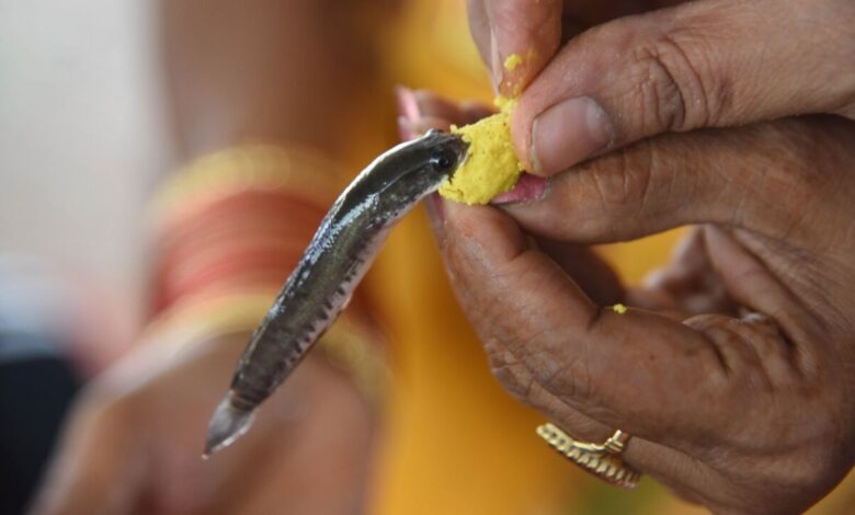 Batthini Family Reveals the Story Behind Hyderabad’s Famous Fish Prasadam Tradition