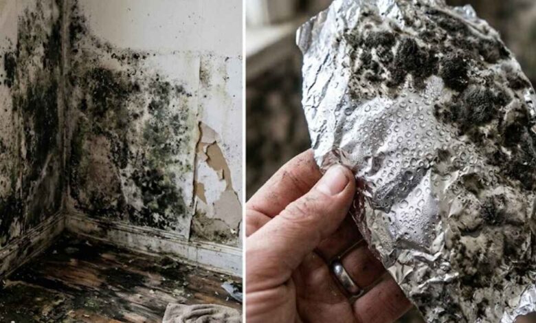 Dark Wall Stains at Home What They Really Mean and a Simple Foil Test to Find the Cause