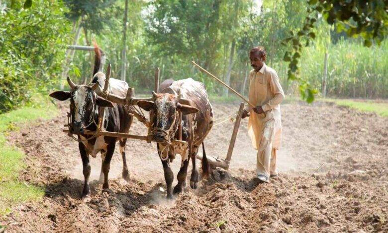 Devanahalli Landowners Offered ₹2.70 Crore Per Acre in Major Acquisition Proposal