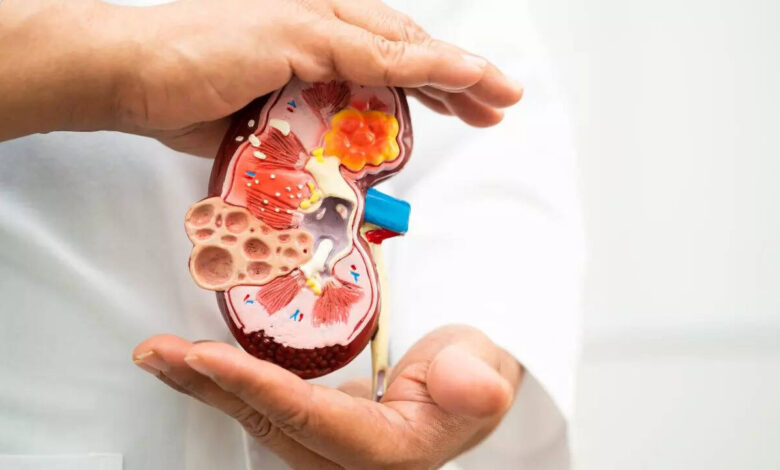 Early Warning Signs of Kidney Failure You Should Never Ignore as Body Sends 5 Clear Alerts Before Damage