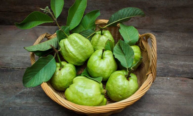 Guava Eating Mistakes That May Harm Digestion Experts Warn Against Common Food Combinations