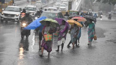 Southwest Monsoon Likely to Reach Kerala Soon