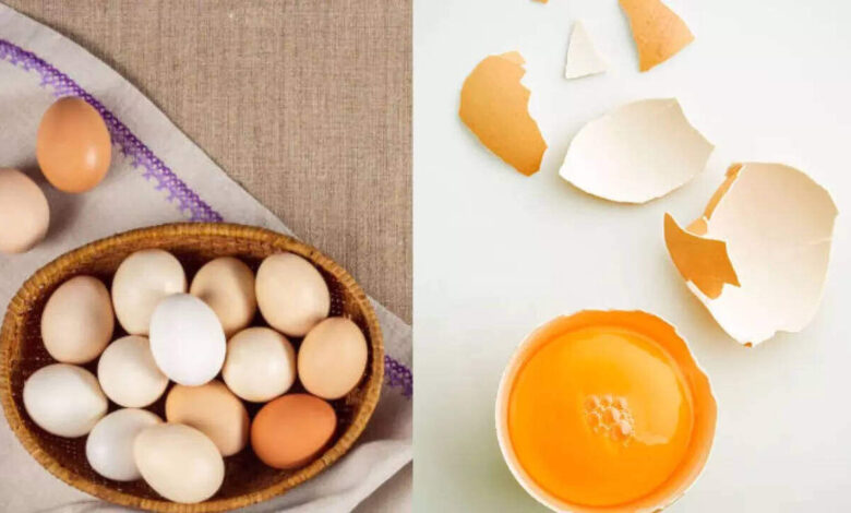 Is It Safe to Eat Eggs During Monsoon Experts Explain the Real Health Benefits