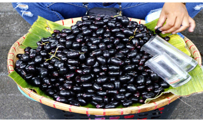 Jamun Fruit Offers Powerful Ayurvedic Benefits for Health, Experts Highlight Its Natural Healing Properties