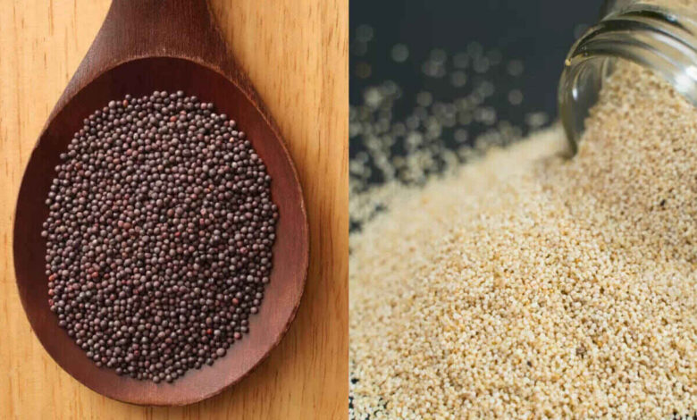 Mustard Seeds Health Benefits Why This Tiny Spice Deserves a Big Place in Your Kitchen
