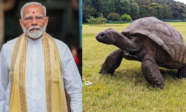 PM Modi to Meet World Famous 194 Year Old Tortoise During Seychelles Visit
