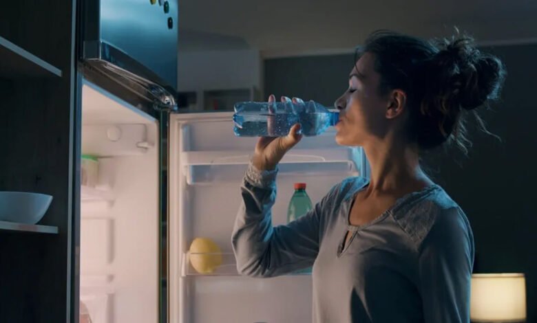 Refrigerator Water Leakage Problems Simple Home Fix Tips Without Costly Repair