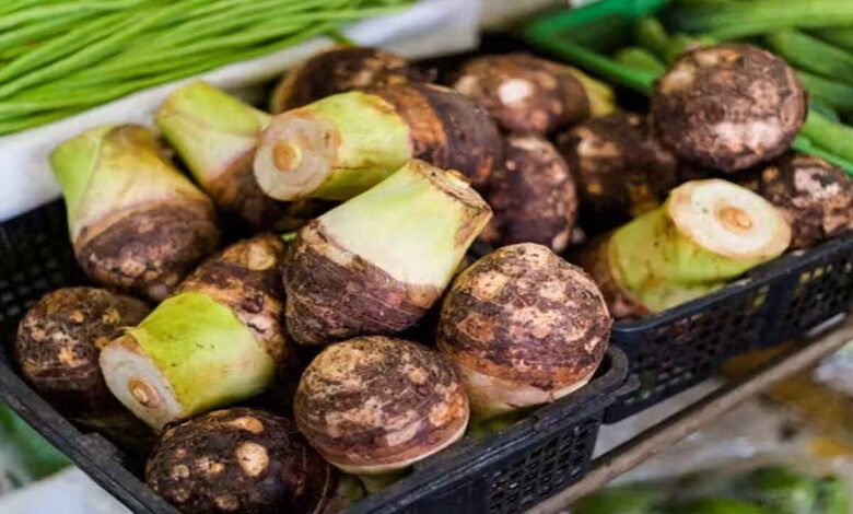 What Is Taro Root Discover the English Name and Surprising Health Benefits of This Popular Vegetable