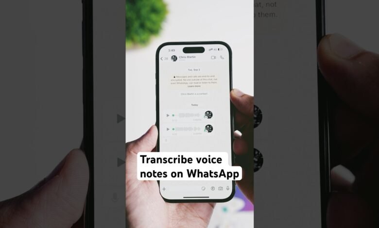 WhatsApp Read Once Text Feature in Development Brings New Privacy Control for Users