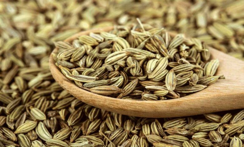 Why Fennel Seeds Are Becoming a Daily Wellness Essential for Women