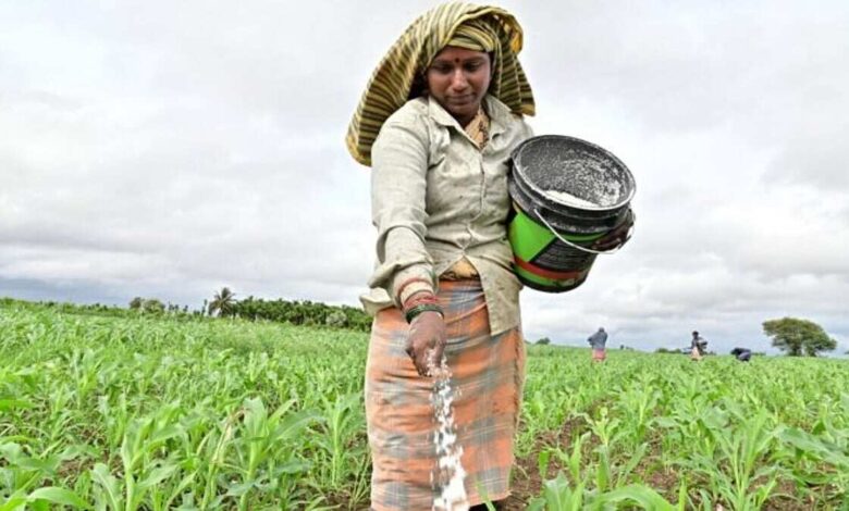 Crop Insurance Registration Deadline Extended for Farmers in Four Karnataka Districts
