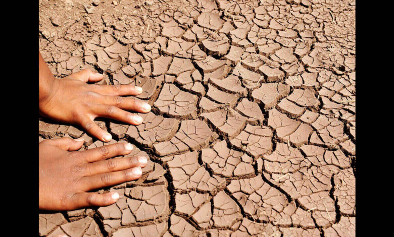 Drought Conditions Deepen Across Parts Of Karnataka As Water Sources Dry And Crops Suffer