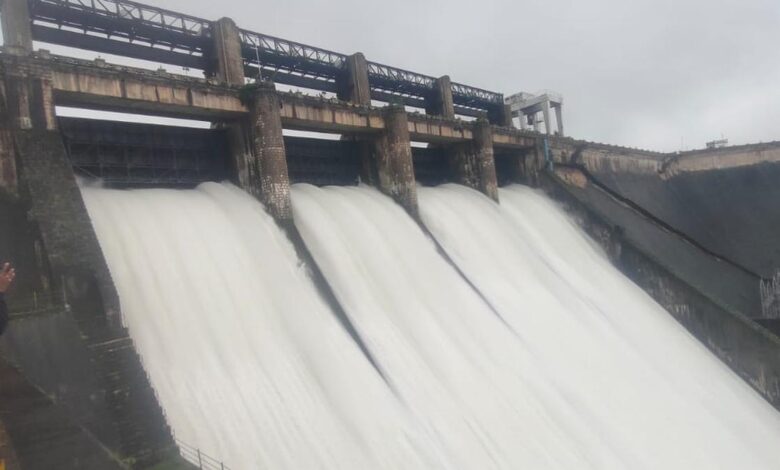 Falling Water Levels at Bhadra Reservoir Force Authorities to Prioritize Drinking Water