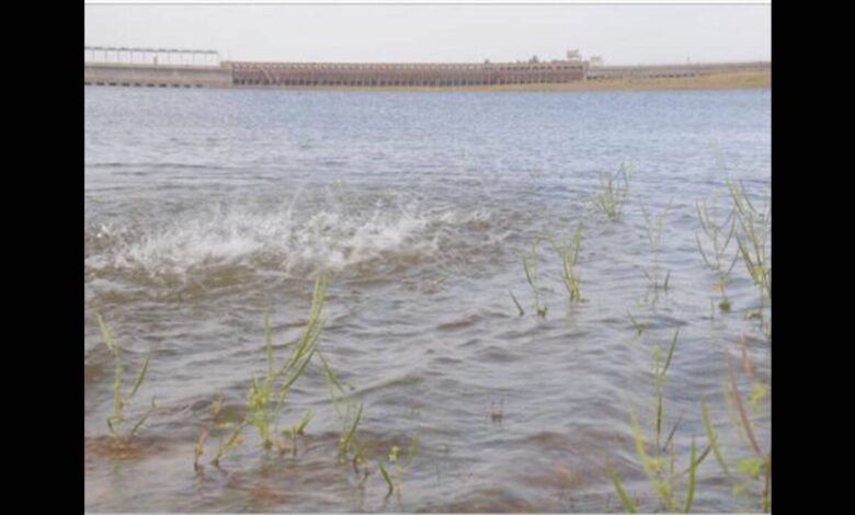 Karnataka Reservoir Levels Remain Below Expectations Despite Improved Monsoon Activity