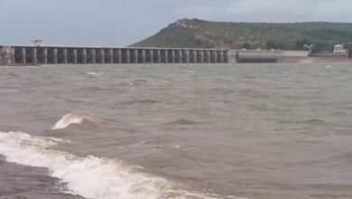 Karnataka Reservoir Levels Show Mixed Picture as Almatti Nears Full Capacity