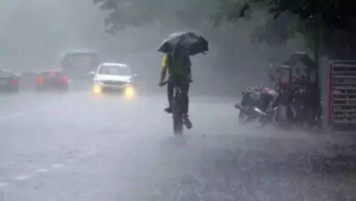 Karnataka Weather Forecast Predicts Rain And Strong Winds In Several Districts Over Next Five Days