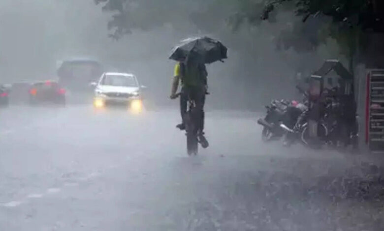 Karnataka Weather Forecast Predicts Rain And Strong Winds In Several Districts Over Next Five Days