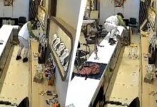 Mystery Behind Missing Jewelry Worth Rs 10 Lakh Solved After CCTV Reveals an Unexpected Culprit