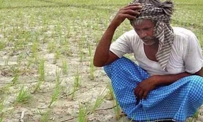 Tungabhadra Canal Water Supply Halted as Rainfall Deficit Deepens Farmers Worries