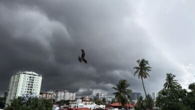Bengaluru Air Quality Improves As Monsoon Brings Relief Across Karnataka