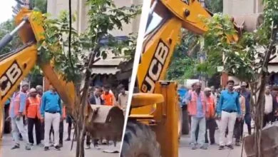 Bengaluru Footpath Encroachment Drive Continues Despite Opposition