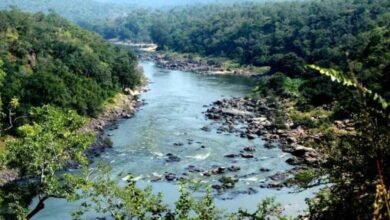 CWRC Asks Karnataka to Release 9000 Cusecs of Cauvery Water to Tamil Nadu