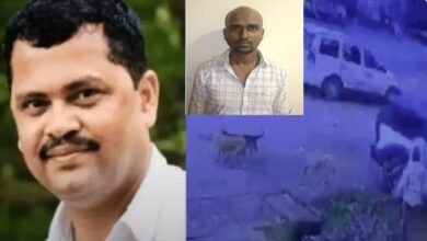 David D’Souza Murder Case: Police Firing on Key Accused Anuj Patil During Escape Attempt