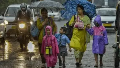 Heavy Rain Forces School Holiday in Several Karnataka Districts as Red Alert Continues