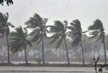 IMD Issued Heavy Rain Alert for Next 2 Days In Karnataka