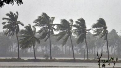 IMD Issued Heavy Rain Alert for Next 2 Days In Karnataka