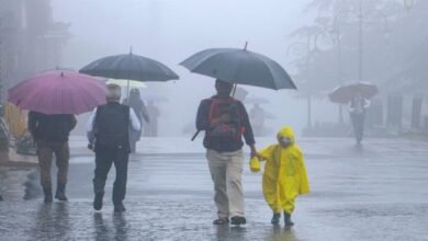 IMD Issued Heavy Rainfall Alert Across Karnataka till August 16