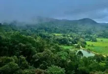 Karnataka Air Quality Improves Across State As Monsoon Washes Away Pollution