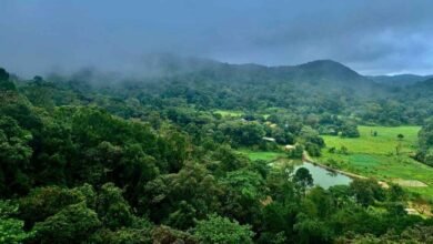 Karnataka Air Quality Improves Across State As Monsoon Washes Away Pollution