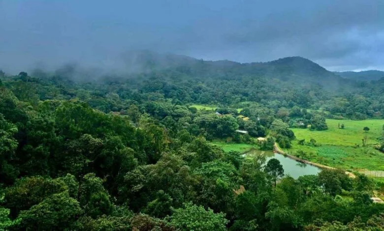 Karnataka Air Quality Improves Across State As Monsoon Washes Away Pollution